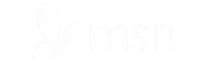 The MSN logo, which features a butterfly symbol followed by the letters msn.